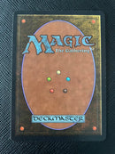 Forest (B) - Path (LEB)