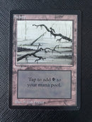 Swamp (C) (LEB)