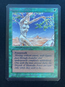 Shanodin Dryads (LEA)