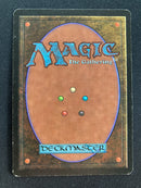 Savannah Lions (LEB)