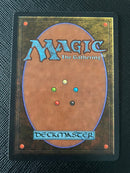 Forest (B) - Path (LEB)