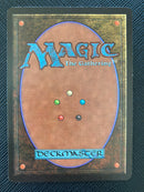 Savannah Lions (LEB)