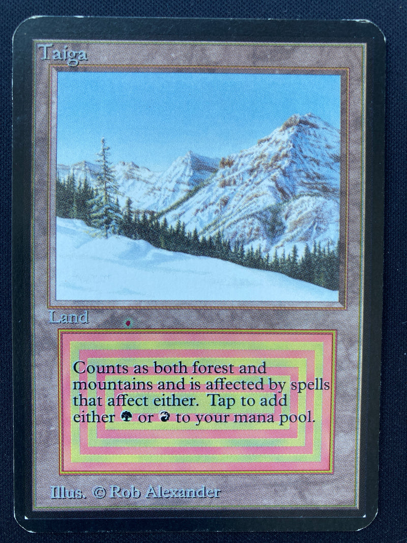 Taiga (LEA)
