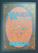 Forest (A) - Rocks (LEB)