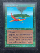 Birds of Paradise (CED)