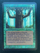 Ironroot Treefolk (LEA)