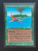 Birds of Paradise (CED)