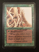 Wall of Brambles (LEA)