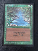 Stream of Life (LEB)