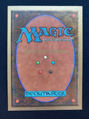 Birds of Paradise (CED)