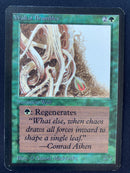 Wall of Brambles (LEA)