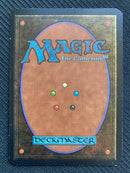 Living Artifact (LEA)