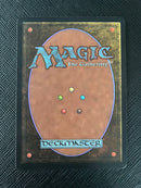 Swamp (A) - Low Branch (LEB)