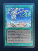 Shanodin Dryads (LEA)