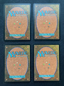 Seventh Edition Foil Basic Land Set (20 Cards)