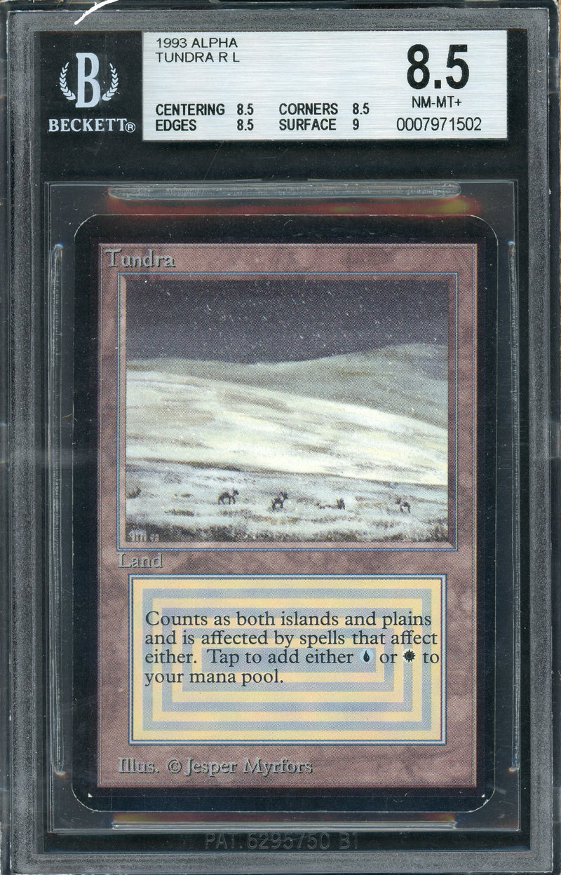 Tundra (LEA)