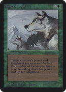 Aspect of Wolf (LEA)