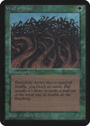 Wall of Wood (LEA)