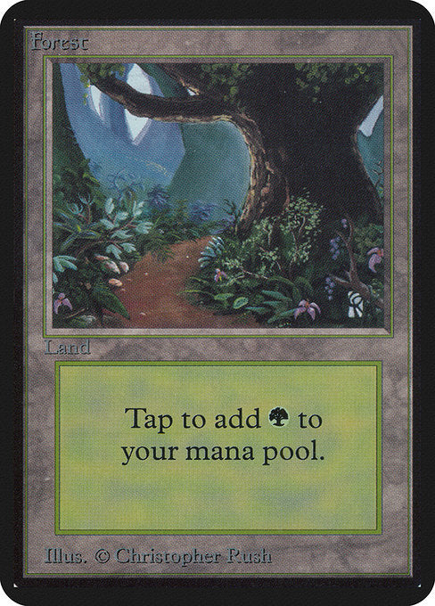 Forest (B) - Path (LEA)