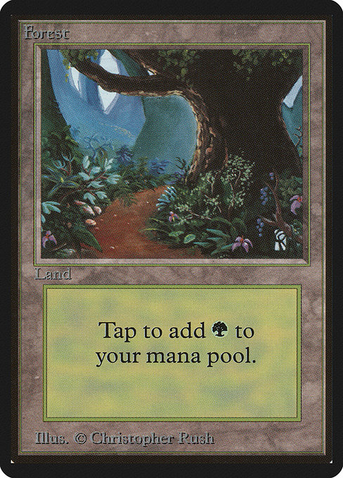 Forest (B) - Path (LEB)